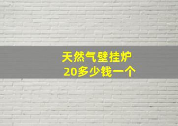 天然气壁挂炉20多少钱一个