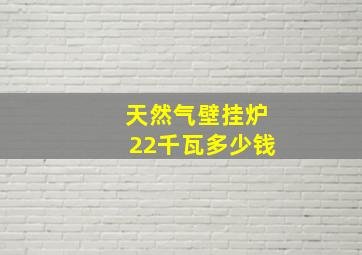 天然气壁挂炉22千瓦多少钱