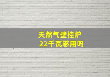 天然气壁挂炉22千瓦够用吗