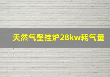 天然气壁挂炉28kw耗气量