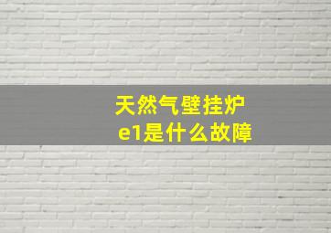 天然气壁挂炉e1是什么故障