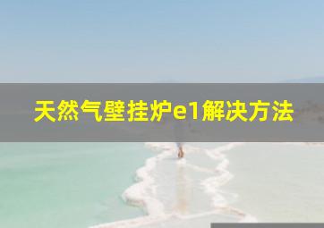 天然气壁挂炉e1解决方法