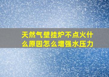 天然气壁挂炉不点火什么原因怎么增强水压力