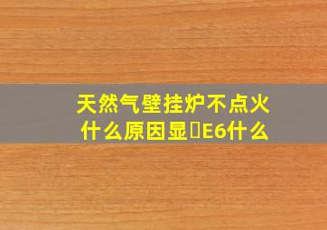 天然气壁挂炉不点火什么原因显⺬E6什么