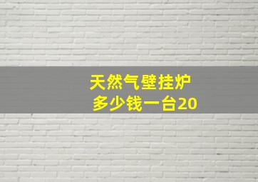 天然气壁挂炉多少钱一台20