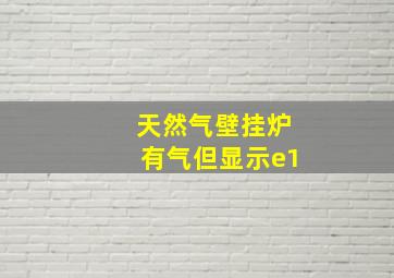 天然气壁挂炉有气但显示e1