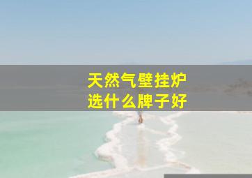 天然气壁挂炉选什么牌子好