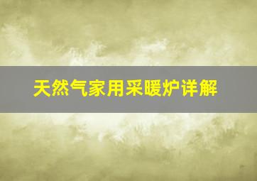 天然气家用采暖炉详解