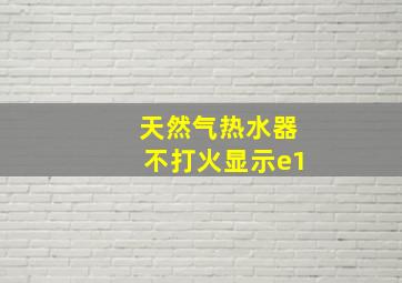 天然气热水器不打火显示e1