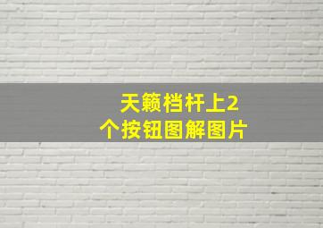 天籁档杆上2个按钮图解图片