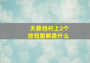 天籁档杆上2个按钮图解是什么