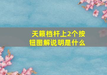 天籁档杆上2个按钮图解说明是什么