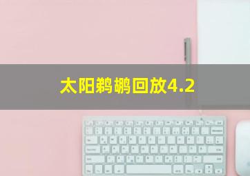 太阳鹈鹕回放4.2