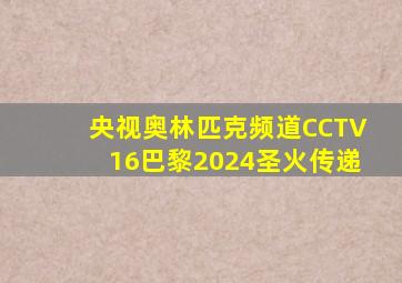 央视奥林匹克频道CCTV16巴黎2024圣火传递