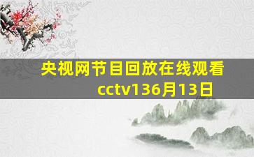 央视网节目回放在线观看cctv136月13日