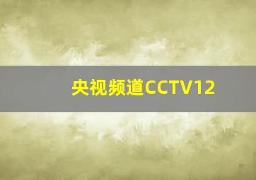 央视频道CCTV12