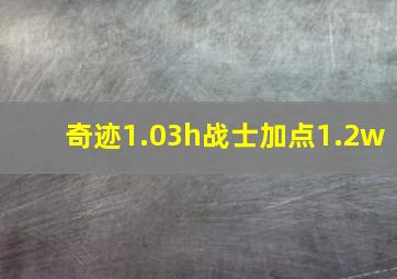 奇迹1.03h战士加点1.2w