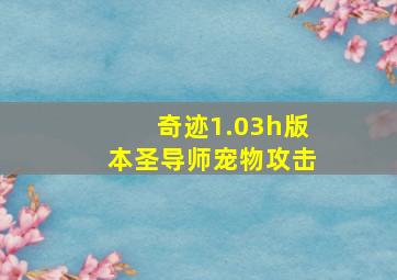 奇迹1.03h版本圣导师宠物攻击