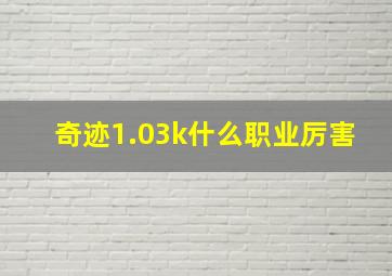 奇迹1.03k什么职业厉害