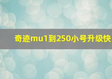 奇迹mu1到250小号升级快