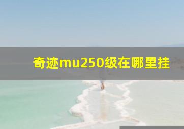 奇迹mu250级在哪里挂