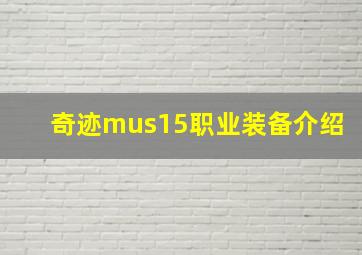 奇迹mus15职业装备介绍