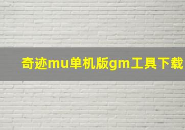 奇迹mu单机版gm工具下载