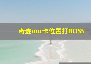 奇迹mu卡位置打BOSS