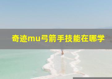 奇迹mu弓箭手技能在哪学