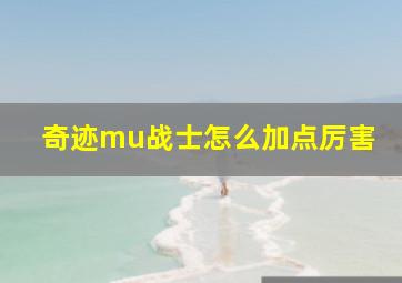 奇迹mu战士怎么加点厉害