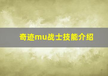 奇迹mu战士技能介绍