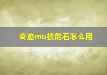 奇迹mu技能石怎么用