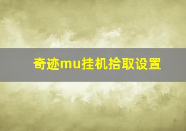 奇迹mu挂机拾取设置