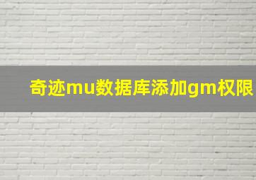 奇迹mu数据库添加gm权限