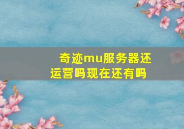 奇迹mu服务器还运营吗现在还有吗