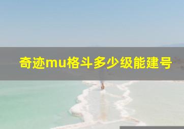 奇迹mu格斗多少级能建号