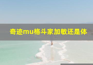 奇迹mu格斗家加敏还是体