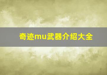 奇迹mu武器介绍大全