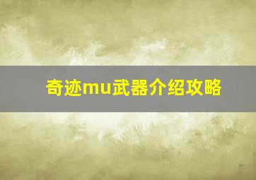 奇迹mu武器介绍攻略