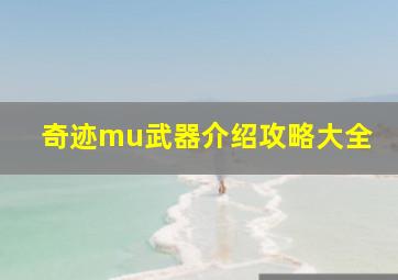 奇迹mu武器介绍攻略大全