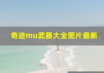 奇迹mu武器大全图片最新