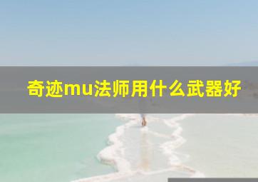 奇迹mu法师用什么武器好