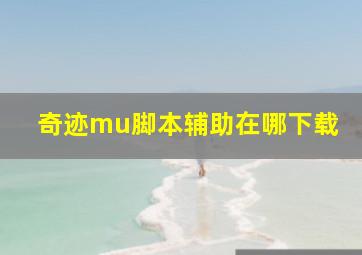 奇迹mu脚本辅助在哪下载