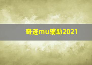 奇迹mu辅助2021