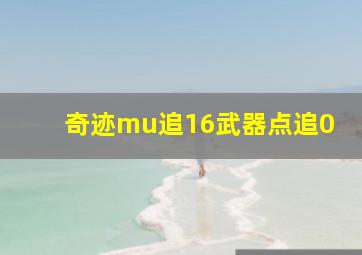 奇迹mu追16武器点追0