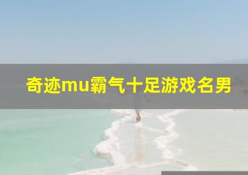 奇迹mu霸气十足游戏名男