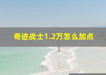 奇迹战士1.2万怎么加点