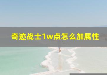 奇迹战士1w点怎么加属性