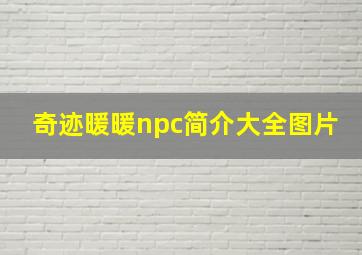 奇迹暖暖npc简介大全图片