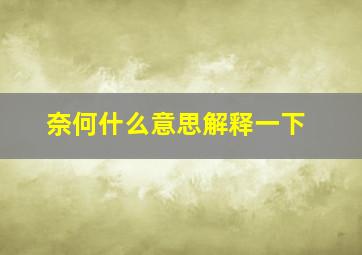 奈何什么意思解释一下